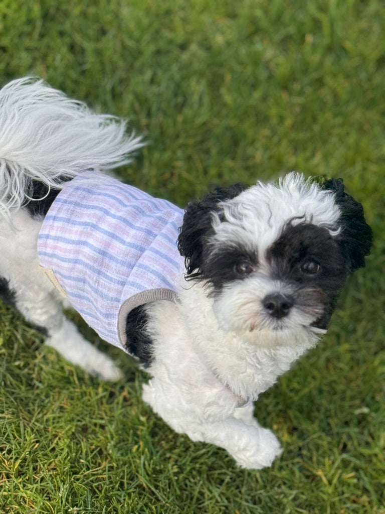 Sleeveless Spring Linen Stripe Crop-top