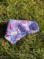 Blue&Red Paisley Dog Bandana - Elastic Strap