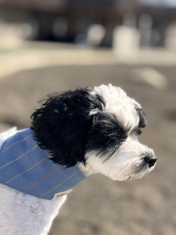 Skinny Stripe Bandana – Adjustable Button Closure