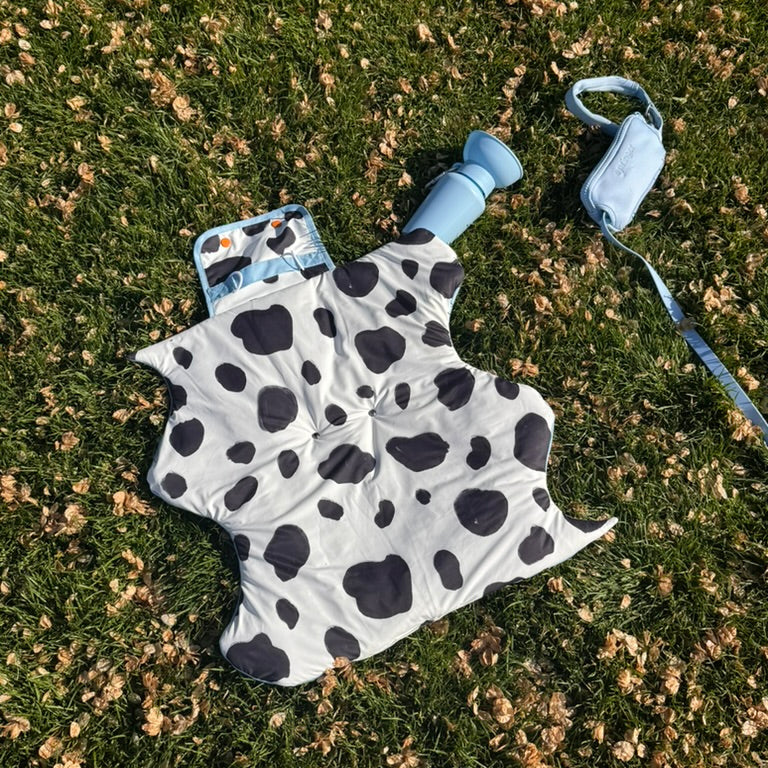 Oasis Cooling Mat for Dogs | Portable Travel Dog Mat