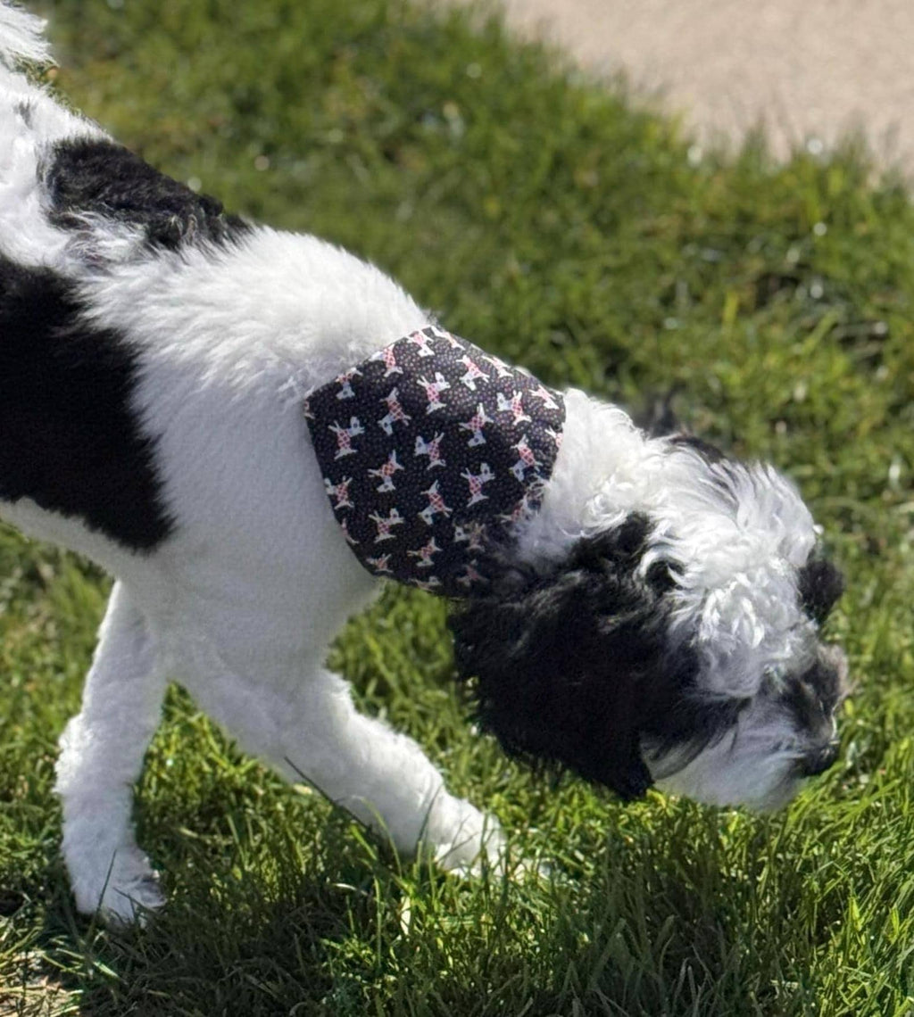 Black, Terrier Patterned Dog Bandana - Elastic Strap