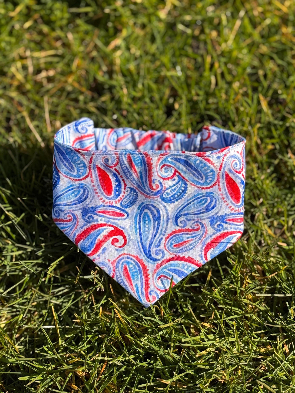 Blue&Red Paisley Dog Bandana - Elastic Strap