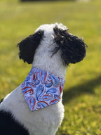 Blue&Red Paisley Dog Bandana - Elastic Strap
