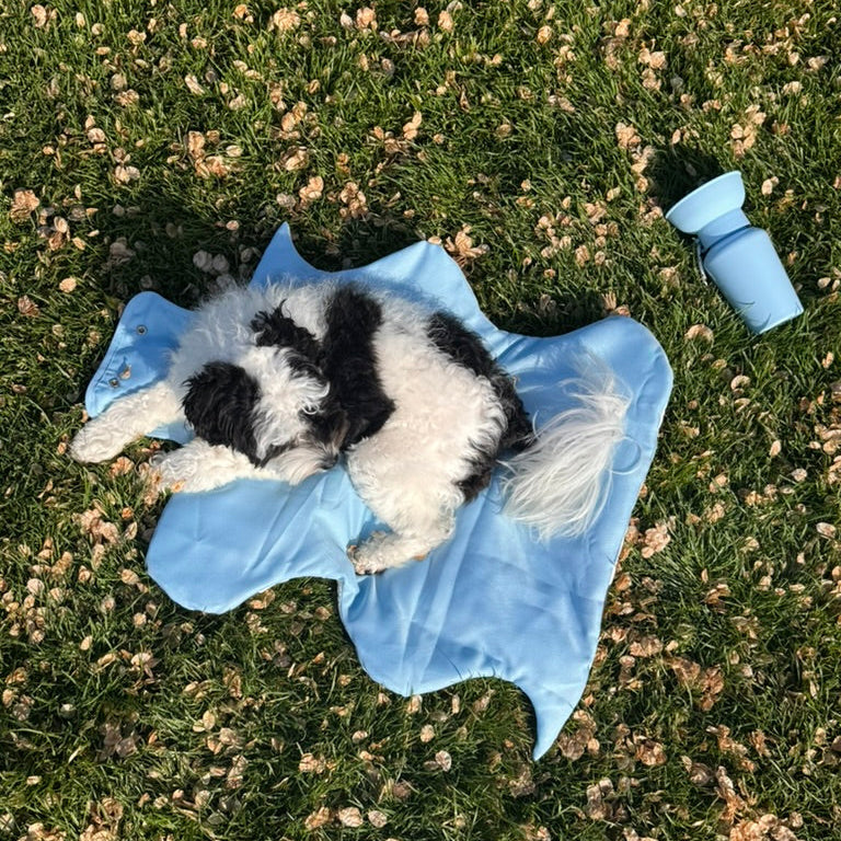 Oasis Cooling Mat for Dogs | Portable Travel Dog Mat