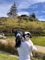 Matching Bandana & Scrunchie Set