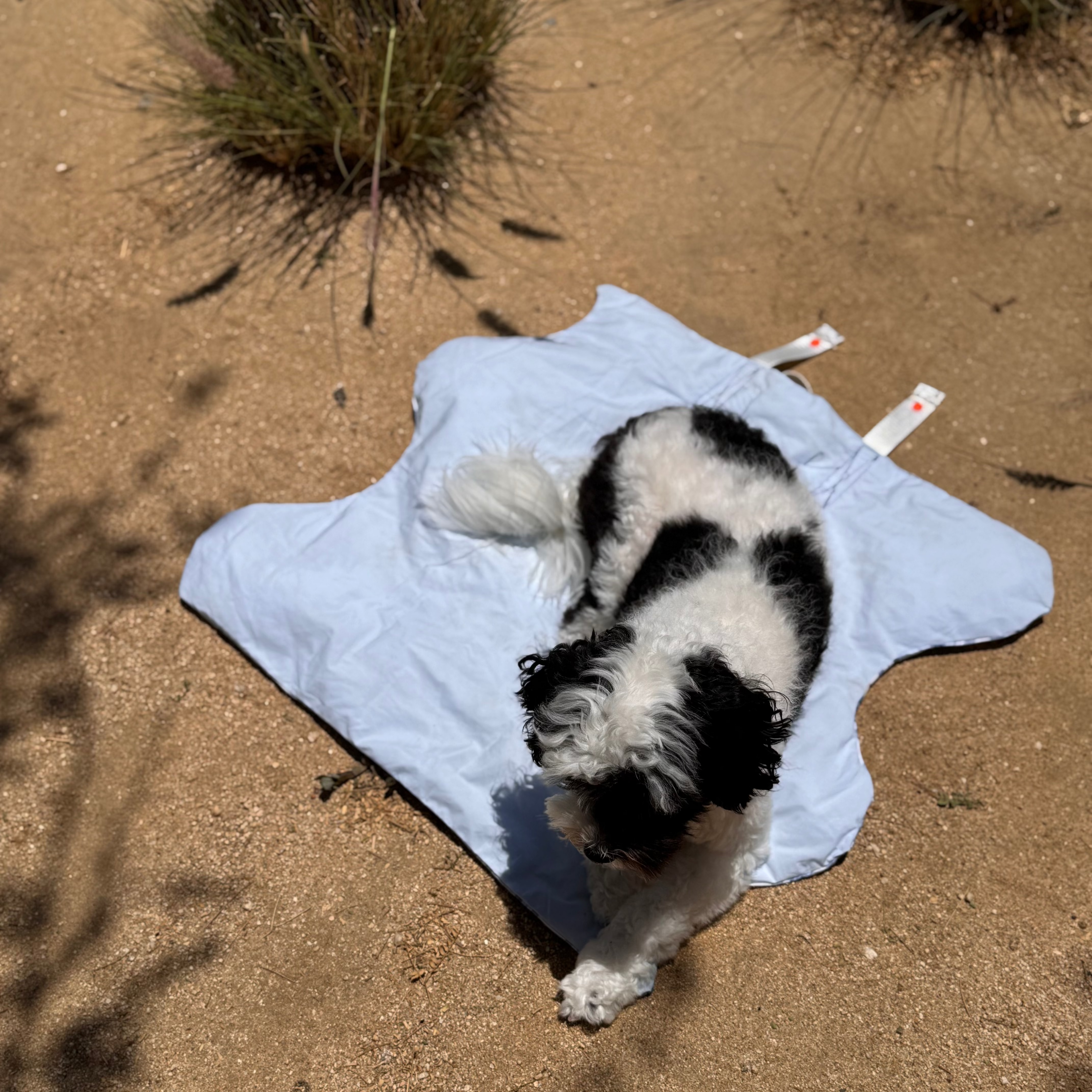 OASIS Cooling Mat