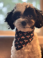 Black, Terrier Patterned Dog Bandana - Elastic Strap
