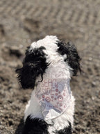 Ivory Ocean-themed, Seaside Dog Bandana - Elastic Strap